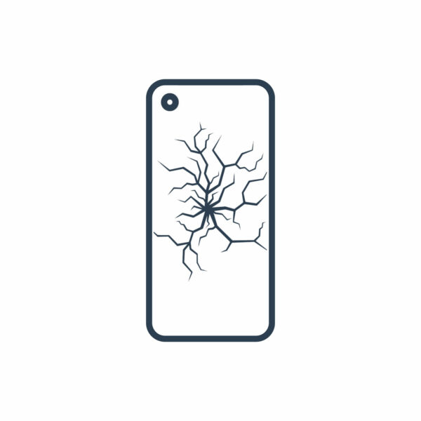 S10 Plus Backcover